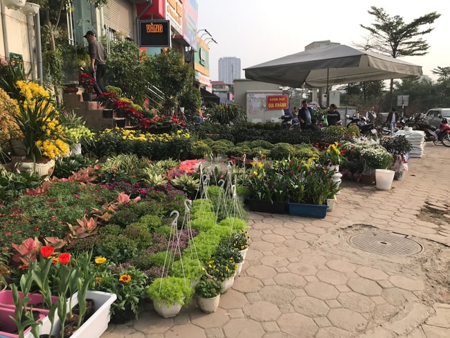 chợ hoa Hoàng Hoa Thám