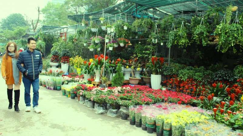 chợ hoa Vạn Phúc